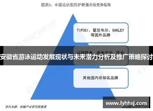 安徽省游泳运动发展现状与未来潜力分析及推广策略探讨